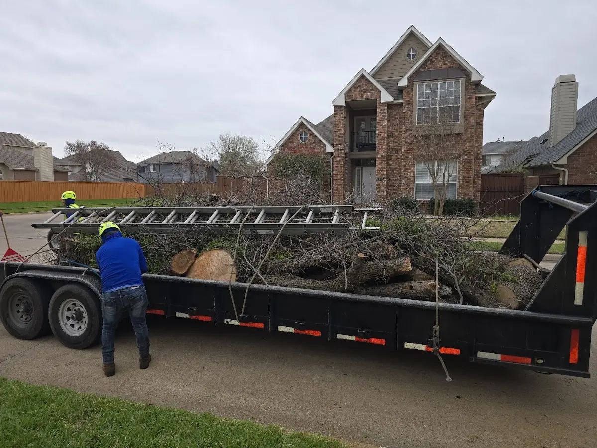 Expert Tree Removal with proper safety equipment in Westchester